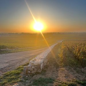 Meet your Posher, Antonio